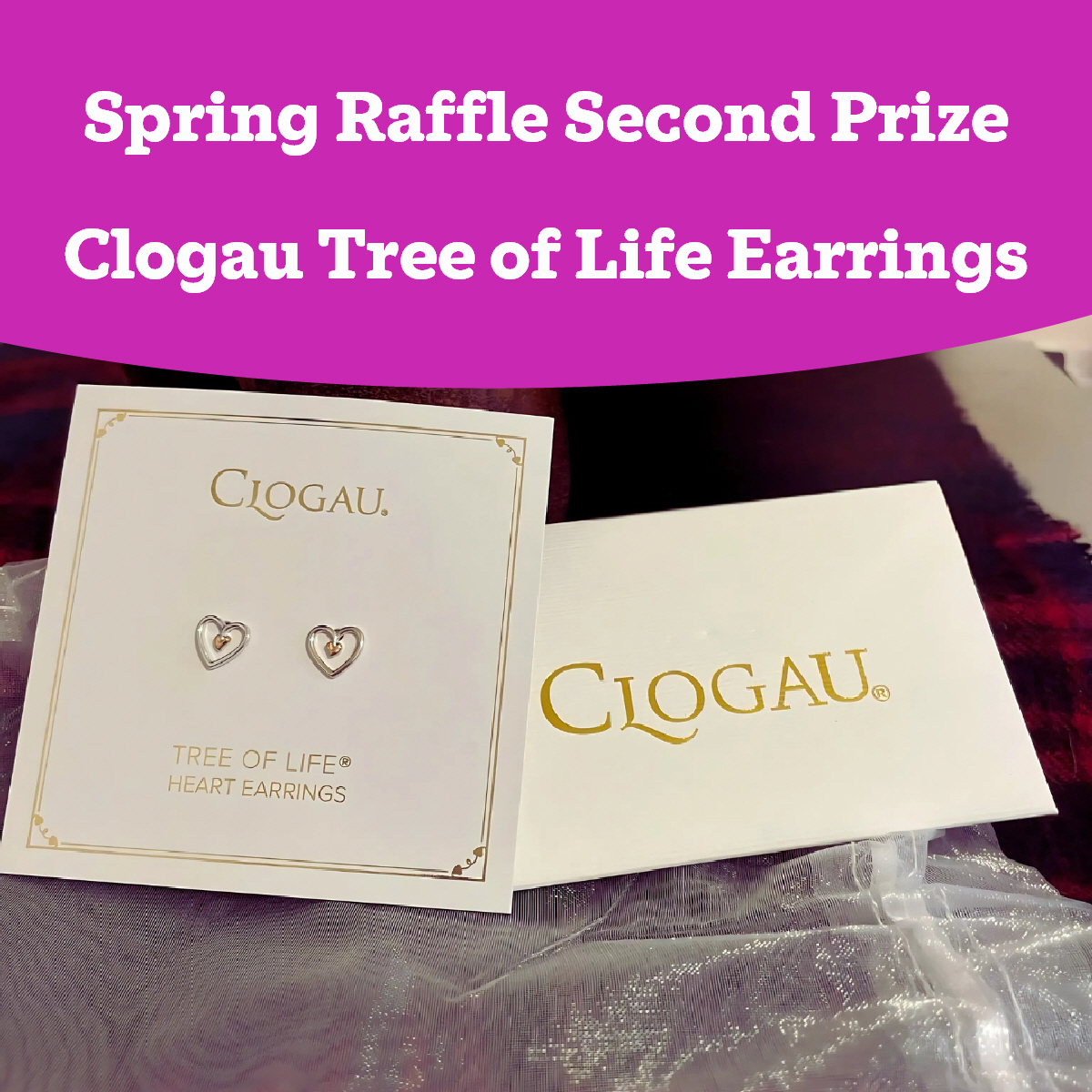 Clogau Silver & Gold earrings